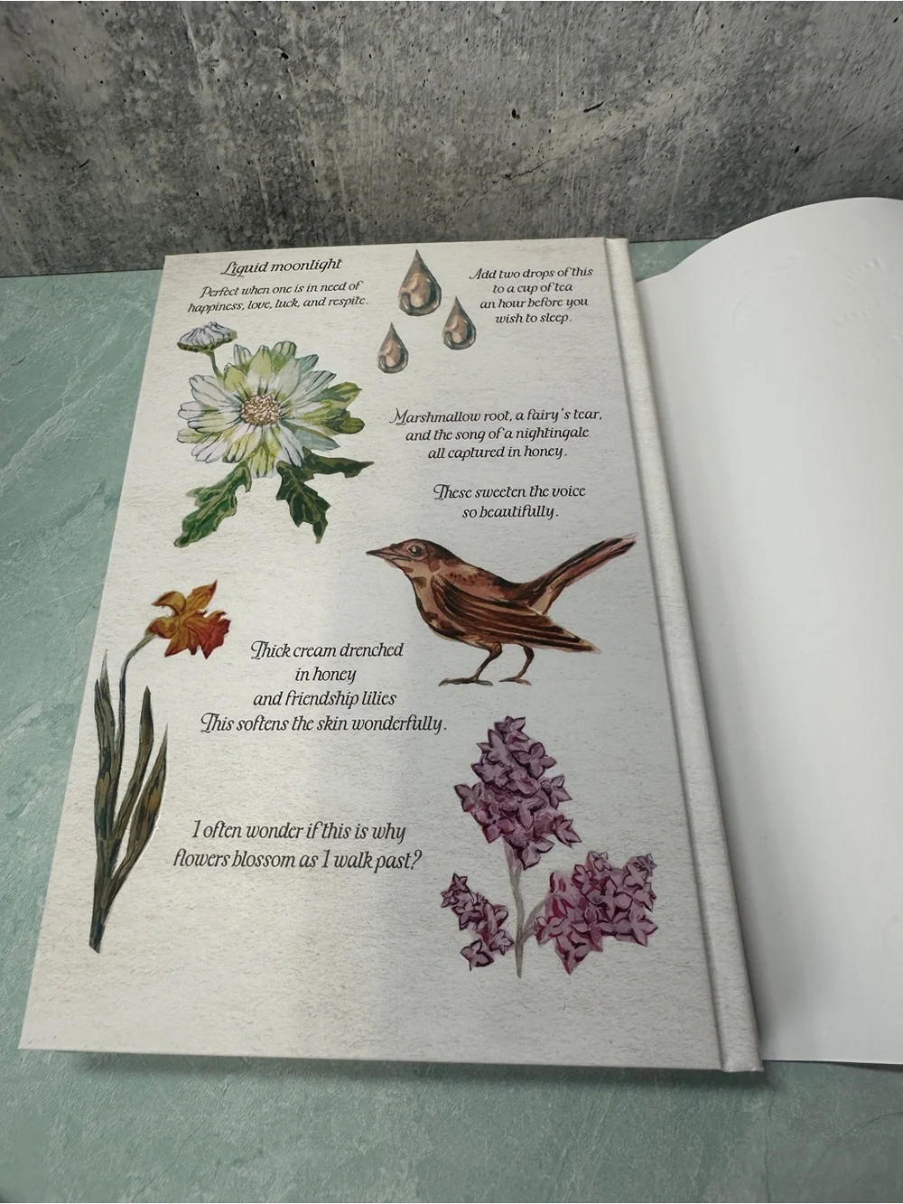 Lilac Library A Remedy For Fate M.A. Kuzniar Hardback Sprayed Edges